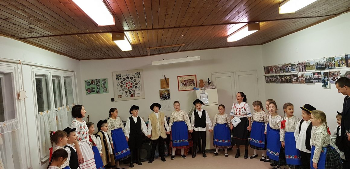 Búzavirág